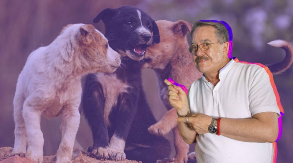El conductor reconoció que sus declaraciones generaron un impacto negativo y aseguró que ahora busca promover el respeto hacia los animales. CANVA/SUN/ARCHIVO/ESPECIAL
