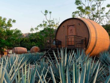 El único hotel en el mundo con habitaciones en forma de barricas gigantes / Foto: Cortesía