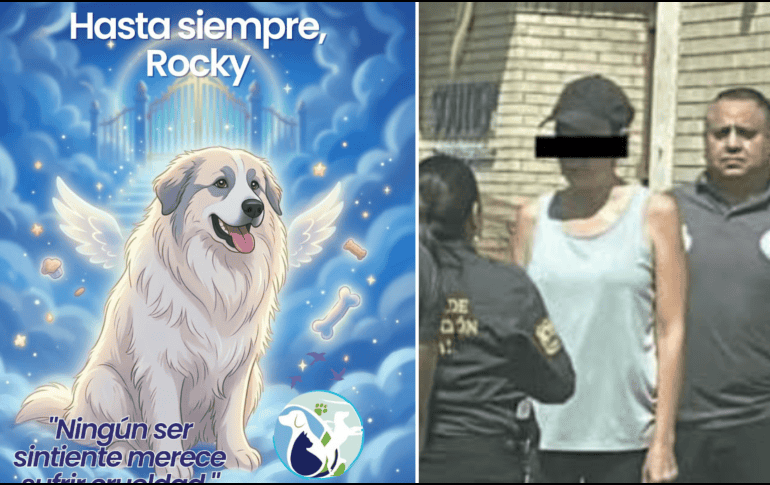 En las próximas horas se llevará a cabo la audiencia inicial de Liliana “N” por el fallecimiento del perrito Rocky. FACEBOOK / DIGNIDAD ANIMAL OFICIAL