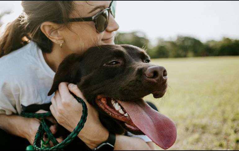 Acciones sencillas como hablarle a una mascota, mimarla o sostener contacto visual constante generan un impacto medible en el equilibrio psicológico de las personas. UNSPLASH / W. Austin Ellis