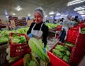 El Servicio Nacional de Sanidad, Inocuidad y Calidad Agroalimentaria (Senasica) ha tenido reducciones en su presupuesto que, considera, son alarmantes. SUN/ARCHIVO