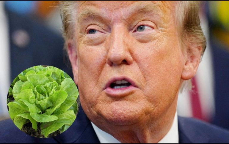 El mandatario estadounidense lanzó la propuesta durante una conferencia en la Casa Blanca, mientras la FDA continúa investigando el alimento. EFE/B. Cash/CANVA/ESPECIAL