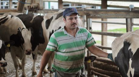 Repunta gusano barrenador en Jalisco