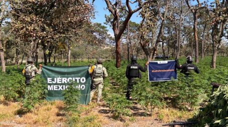 Los uniformados detectaron en una zona conocida como 