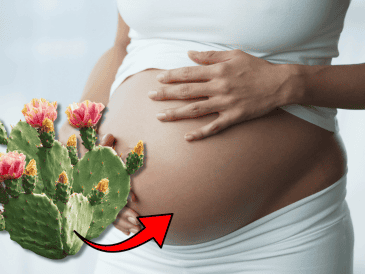 La investigación desarrollada por la UNAM aporta nuevos elementos para comprender la influencia de la alimentación materna sobre la salud futura de los hijos y refuerza el interés por estudiar alimentos tradicionales mexicanos desde una perspectiva científica. CANVA