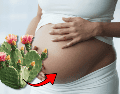 La investigación desarrollada por la UNAM aporta nuevos elementos para comprender la influencia de la alimentación materna sobre la salud futura de los hijos y refuerza el interés por estudiar alimentos tradicionales mexicanos desde una perspectiva científica. CANVA