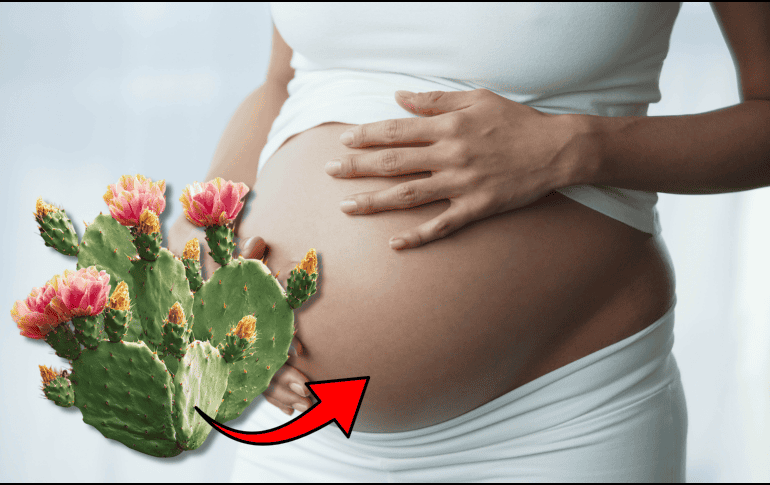 La investigación desarrollada por la UNAM aporta nuevos elementos para comprender la influencia de la alimentación materna sobre la salud futura de los hijos y refuerza el interés por estudiar alimentos tradicionales mexicanos desde una perspectiva científica. CANVA