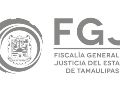 La continuación de la audiencia fue programada para el próximo 30 de julio, fecha en la que la autoridad judicial resolverá lo conducente respecto de la solicitud de vinculación a proceso. ESPECIAL / Fiscalía General de Justicia del Estado de Tamaulipas