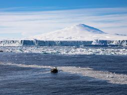 La liberación acelerada de mercurio en la Península Antártica tiene graves repercusiones para la biodiversidad local debido al proceso de biomagnificación. EFE/Wanru Zhang