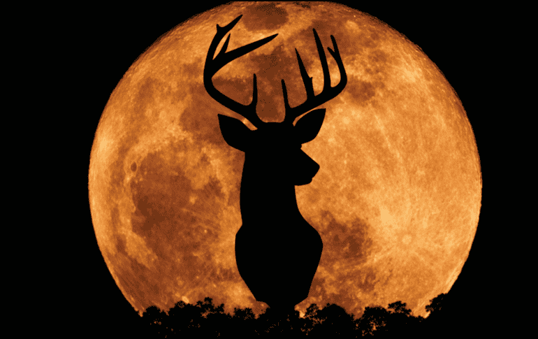 La Luna del Ciervo marca un punto interesante en el calendario astronómico de este año, pues según datos recientes, esta luna llena es la octava de las 13 que ocurrirán durante todo el 2026. CANVA