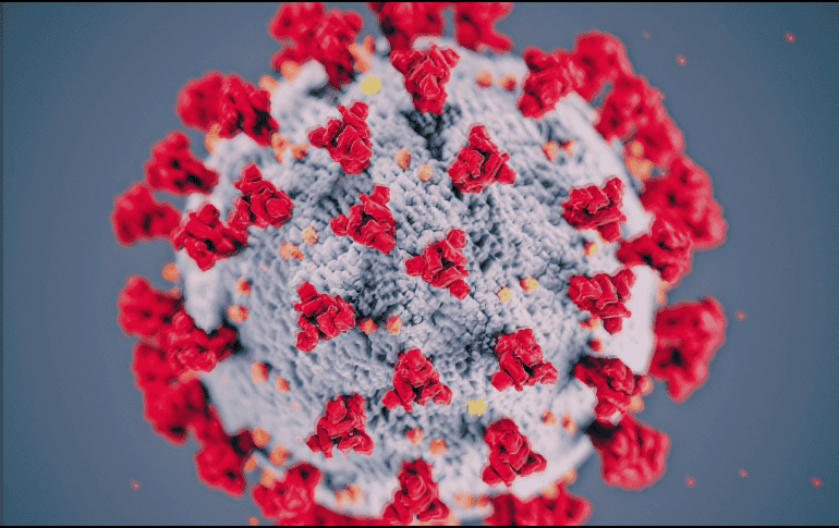 La audiencia reaviva el debate sobre el manejo de la pandemia de COVID-19 y el origen del coronavirus. ESPECIAL/ARCHIVO