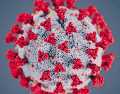 La audiencia reaviva el debate sobre el manejo de la pandemia de COVID-19 y el origen del coronavirus. ESPECIAL/ARCHIVO