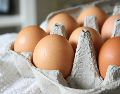 Conservar los huevos en su envase original y a temperatura constante ayuda a reducir el riesgo de proliferación de bacterias. UNSPLASH.