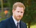 El miembro de la realeza británica perdió su demanda contra el Daily Mail. EFE
