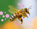 Este trabajo demuestra cómo la comunicación química ayuda a los individuos a decidir cuándo vale la pena cooperar, ofreciendo perspectivas relevantes para la biología evolutiva y el comportamiento animal. CANVA