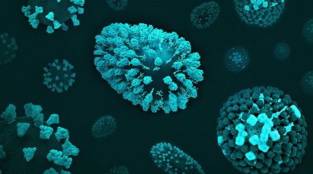 El virus de la viruela experimentó un largo período de cambios genéticos hasta el siglo XVI, pero su evolución se ralentizó notablemente durante el apogeo de la expansión colonial. Unsplash