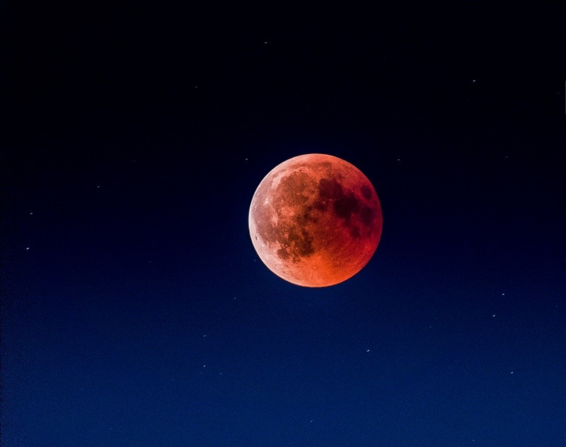 &nbsp;UNSPLASH / M. Adams
