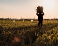 En ese sentido, el estudio subrayó que los trabajadores informales, rurales y quienes realizan actividades al aire libre figuran entre los grupos más expuestos a la pérdida de ingresos. Unsplash