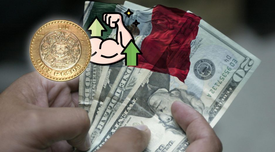 Conoce la cotización del tipo de cambio de dólar a pesos mexicanos para este miércoles 5 de agosto. EL INFORMADOR / ARCHIVO