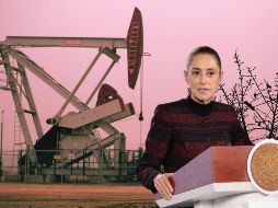 Durante su campaña presidencial de 2024, Sheinbaum prometió que 