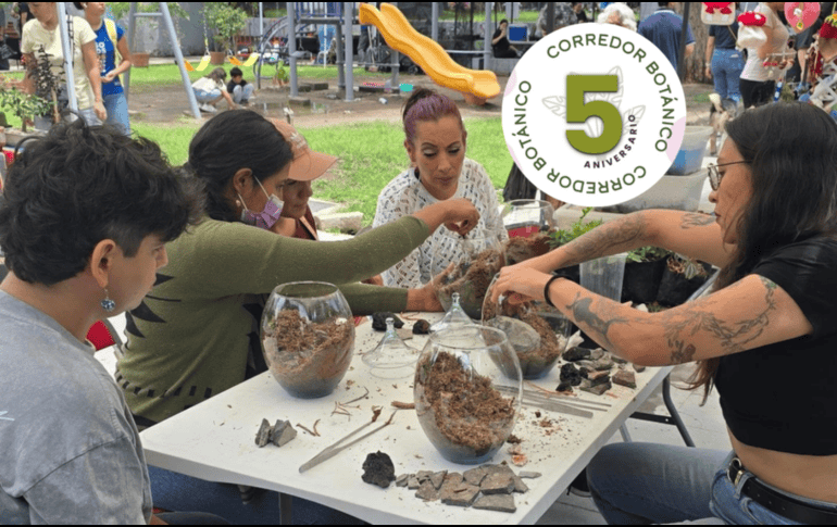 Además de encontrar especies difíciles de conseguir, los visitantes podrán aprender con especialistas y convivir con una comunidad que comparte el interés por la naturaleza.  FACEBOOK / CORREDOR BOTÁNICO EL REFUGIO