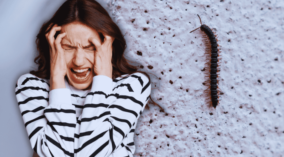 Los expertos en entomología sugieren mantener la calma ante estos avistamientos cotidianos. ESPECIAL / CANVA