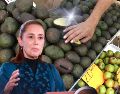 Luego de tres días de paralizado el corte, empaque y comercialización de aguacate de exportación a EU, este lunes se reanudaron las labores en los campos. EL INFORMADOR / ARCHIVO / SUN / M. Guzmán