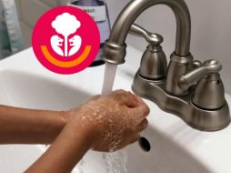 La semana previa al regreso a clases servirá para que personal educativo monitoree el agua de las escuelas y reportar en caso de detectar contaminación, añadió el Secretario de Educación. UNSPLASH / SEJ / CANVA