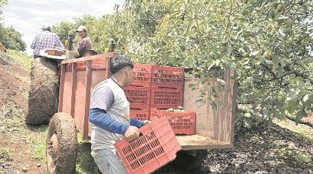 El Gobierno federal anunció que reforzará la seguridad en Michoacán. EL UNIVERSAL