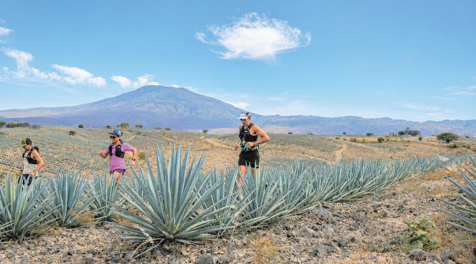 La carrera contará con cinco distancias: 9, 16, 27, 42 y 60 kilómetros; cada una permitirá acercarse al territorio desde un reto distinto. ESPECIAL