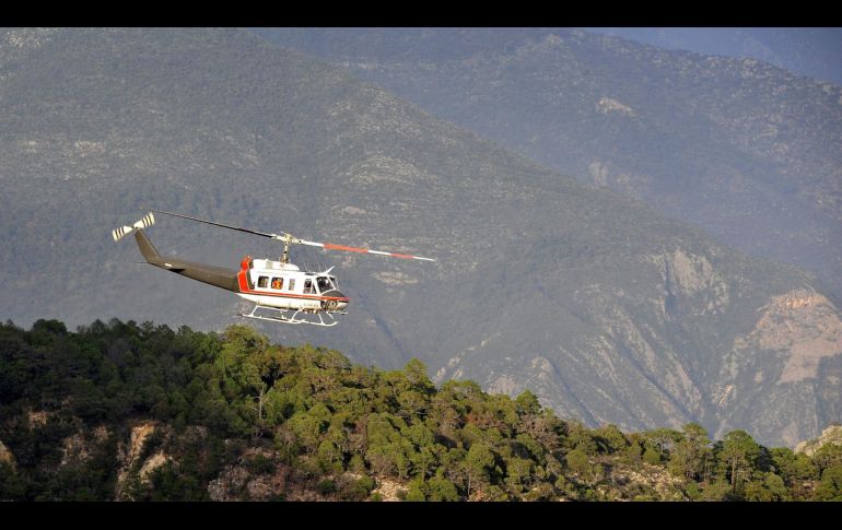 El helicóptero de ataque AH-64 se precipitó sobre un campo cerca de la localidad de Salado. EFE/ARCHIVO