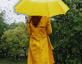 Los modelos meteorológicos indican que la probabilidad de lluvia alcanza un 90 por ciento esta tarde. ESPECIAL / CANVA