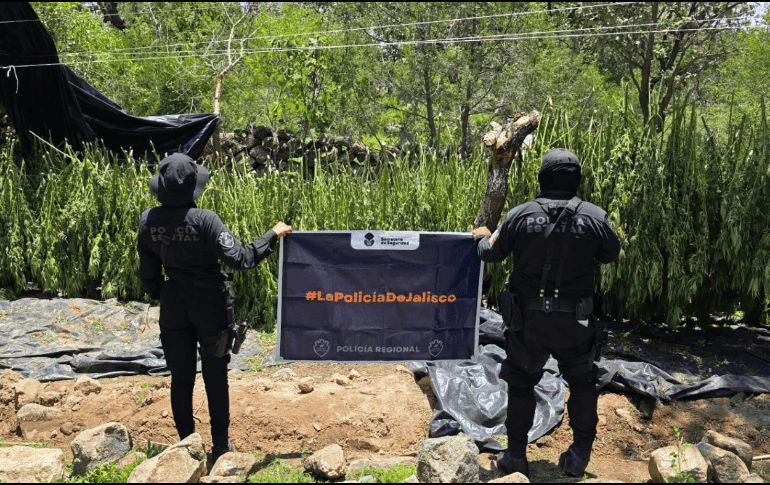 La Secretaría de Seguridad estatal señaló que continuarán los recorridos en la región con corporaciones municipales y federales. ESPECIAL/ Secretaría de Seguridad Jalisco