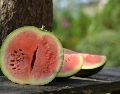 Descubre si comer sandía todos los días realmente mejora la salud de tus riñones. ESPECIAL/PIXABAY
