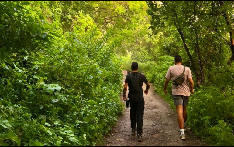 El senderismo gana adeptos por su sencillez, beneficios físicos y la posibilidad de conectar con la naturaleza sin una gran inversión. CORTESÍA.