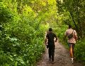 El senderismo gana adeptos por su sencillez, beneficios físicos y la posibilidad de conectar con la naturaleza sin una gran inversión. CORTESÍA.
