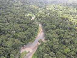 La selva del Darién es la línea fronteriza entre Panamá y Colombia. EFE
