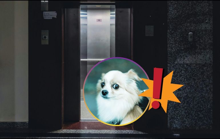 El desplome de un elevador en nuestra época es casi imposible que suceda debido a los avances tecnológicos y mecánicos involucrados en el funcionamiento de estos. UNSPLASH / A. Sibikumar / M. Tresmer