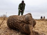 Lesidai Kipelian, guardabosques comunitario fotografía los restos de Genghis Khan, un elefante macho de 11 años, en la reserva comunitaria Kitenden B, en las afueras del Parque Nacional de Amboseli. EFE/D. IRUNGU