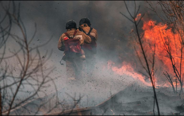 Se ha reportado que el incendio está contenido en apenas un 8% hasta la noche del martes. UNSPLASH