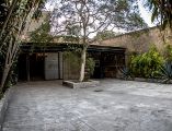 Rock & Paws se realizará en Guitar Maniax, en Manuel Acuña 226, Guadalajara Centro, con adopciones, actividades y apoyo a refugios. CORTESÍA.