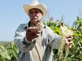 Las autoridades locales confirmaron al menos 14 récords de temperatura durante el mes de agosto. EFE / R. Sura
