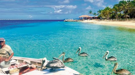 Bonaire, la isla de los arrecifes infinitos
