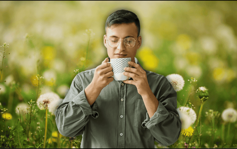 Uno de los beneficios más documentados y estudiados del té de diente de león es su potente efecto hepatoprotector. ESPECIAL / CANVA