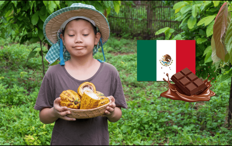 Cada 2 de septiembre, la conmemoración del Día Nacional del Cacao y el Chocolate recuerda la profunda relación entre este cultivo y la historia de México, así como la importancia de preservar una tradición que ha trascendido generaciones y fronteras. CANVA