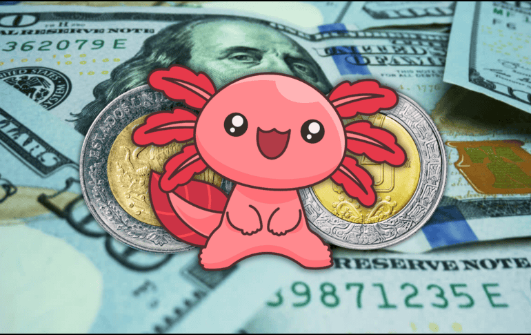El dólar estadounidense inició operaciones cotizando alrededor de los 16.99 y 17.00 pesos por unidad. ESPECIAL / CANVA