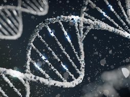 El estudio es un metaanális de los resultados de estudios de asociación del genoma completo (GWAS) de 46 cohortes de todo el mundo, . Unsplash