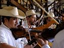Más que conciertos convencionales, los fandangos buscan recuperar el carácter social del mariachi. CORTESÍA
