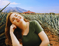 El Pueblo Mágico de Tequila es mundialmente famoso por ser la cuna indiscutible de la bebida más representativa de México. ESPECIAL / CANVA