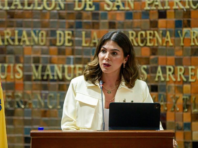 La diputada de Movimiento Ciudadano, Mónica Magaña, explicó en qué consiste esta nueva legislación. ESPECIAL
